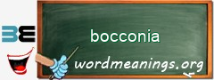 WordMeaning blackboard for bocconia